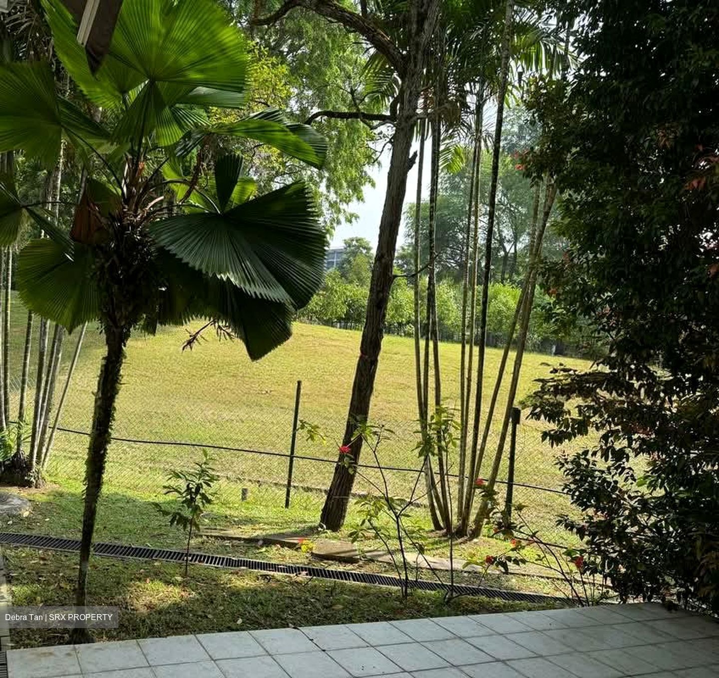 Tanglin Hill Condominium (D10), Condominium #555201791